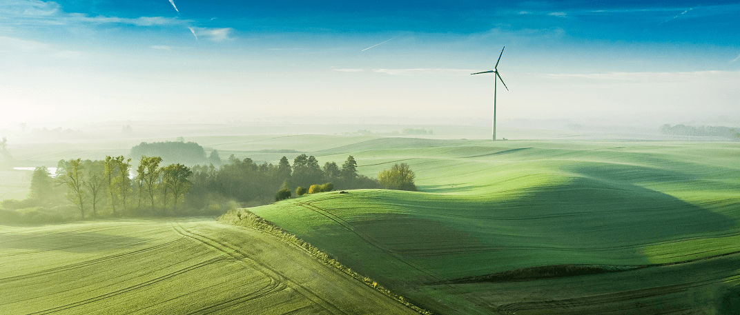 Carbon Neutrality: How Companies and Individuals Are Making an Impact
