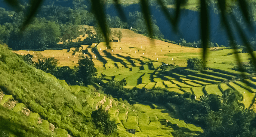 Indonesia's Carbon Market Opportunity in a Shifting Climate Landscape