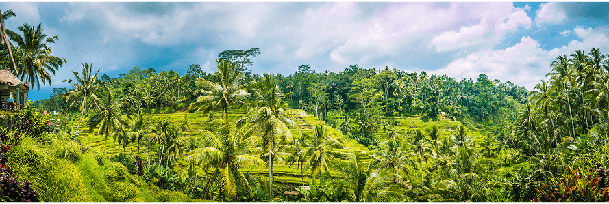 Beyond Indonesia’s Sustainable Finance: Building a Greener Future