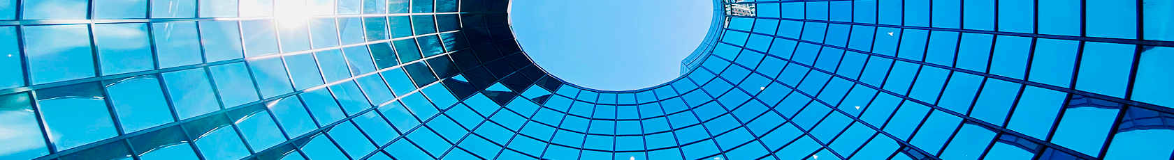 Business Development & Investment